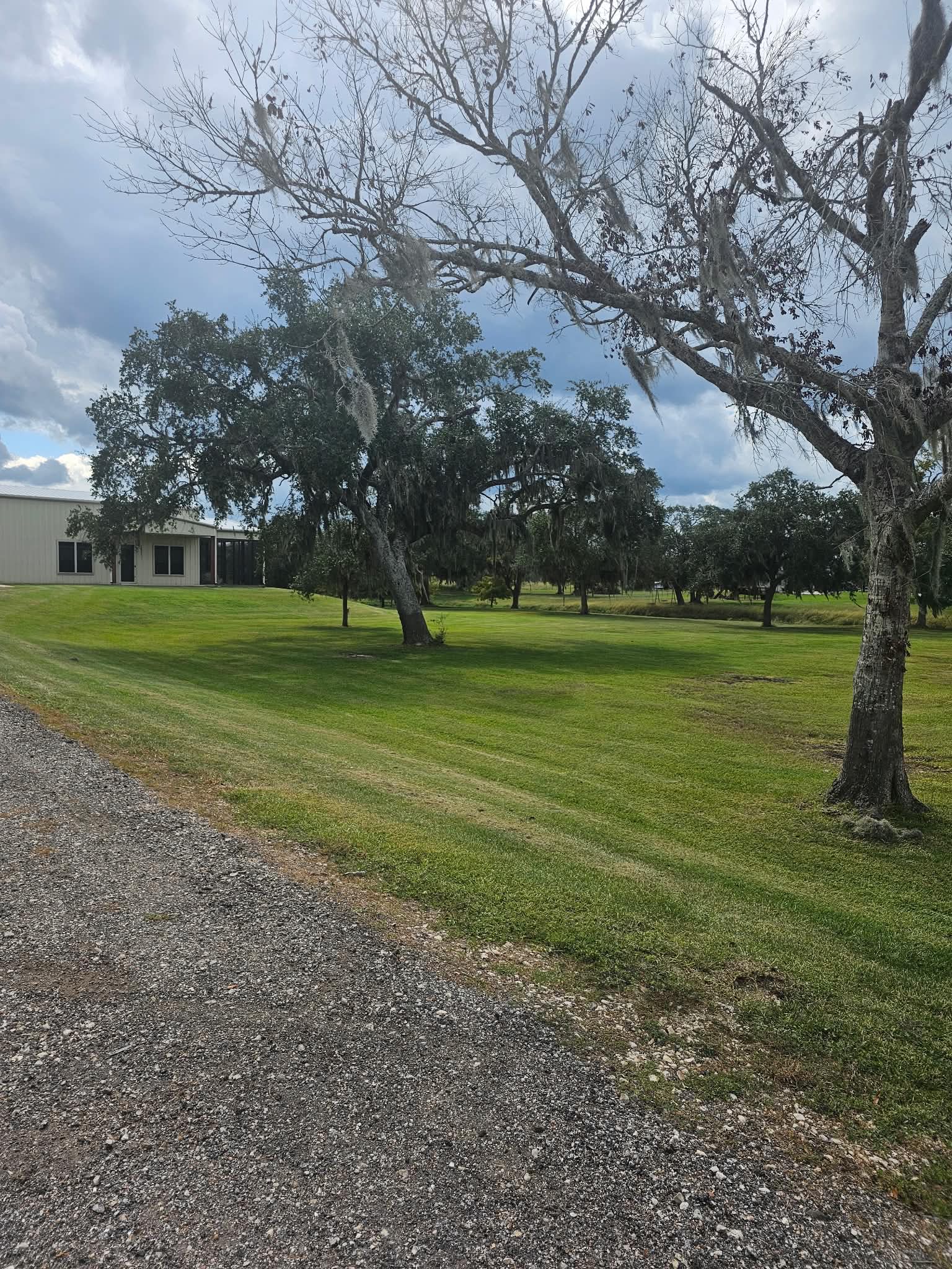 Mown grounds running beside a gravel drive up to a white metal shop building, under live oaks draped with Spanish moss