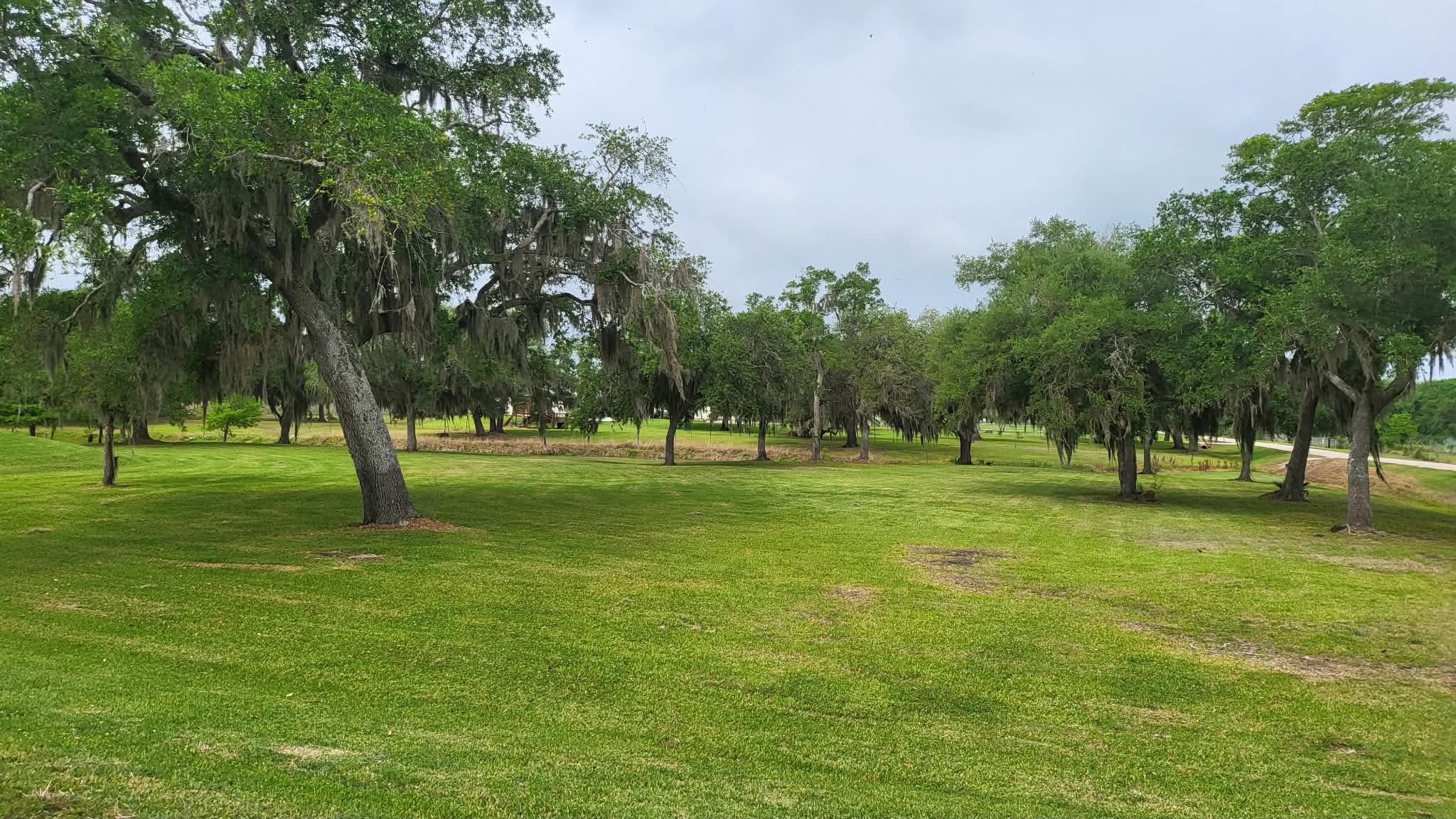 A wide mown field running out under a stand of live oaks hung with Spanish moss