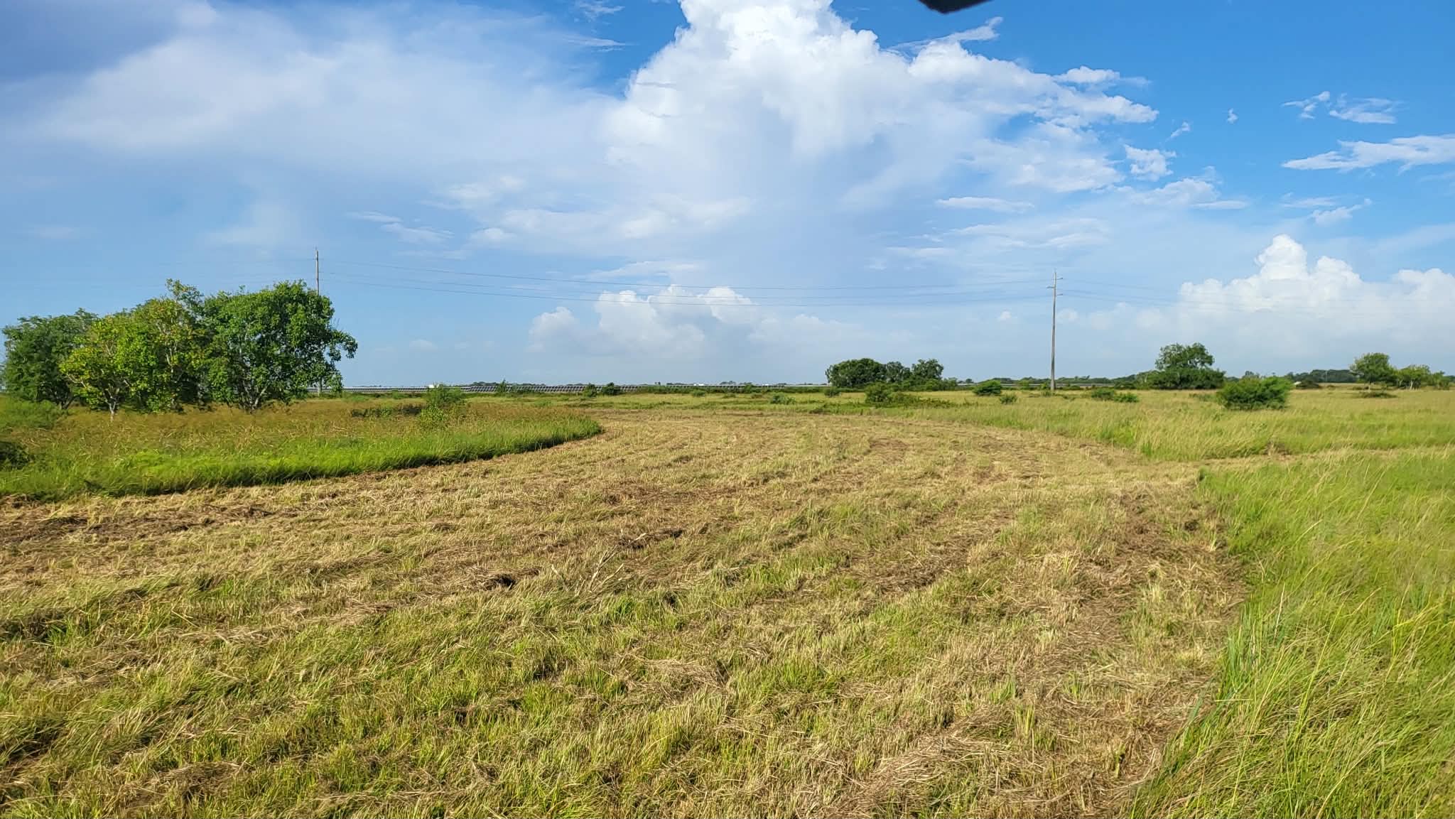 A wide swath cut clean through a field of tall grass, uncut grass still standing either side