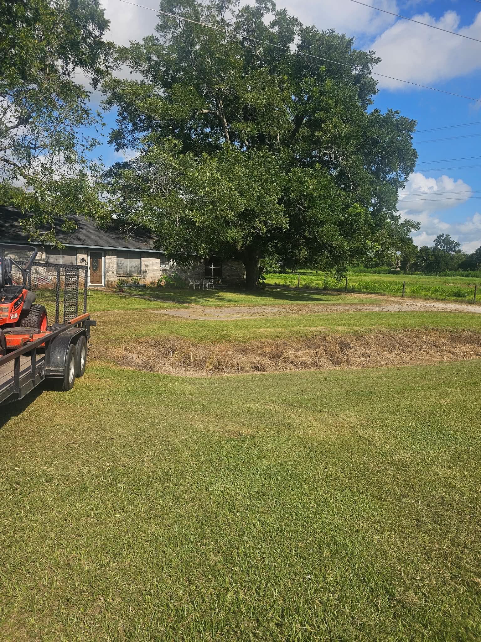 A brick ranch house under a big shade tree, the lawn cut and rows of cut grass raked across the middle, the zero-turn loaded on its trailer at the left